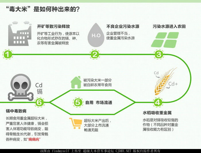 “镉大米”是如何种出来的？