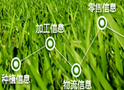 食品追溯方案的重要组成部分