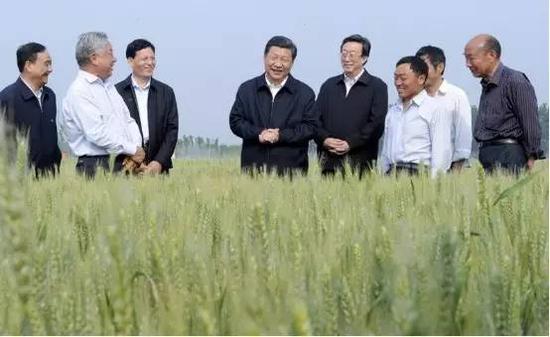 习近平:解决好吃饭问题始终是头等大事