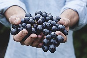 技术治理与食品安全风险社会共治