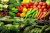 厦门市升级改造食品追溯系统