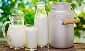 3点解读“生鲜奶”食品安全风险